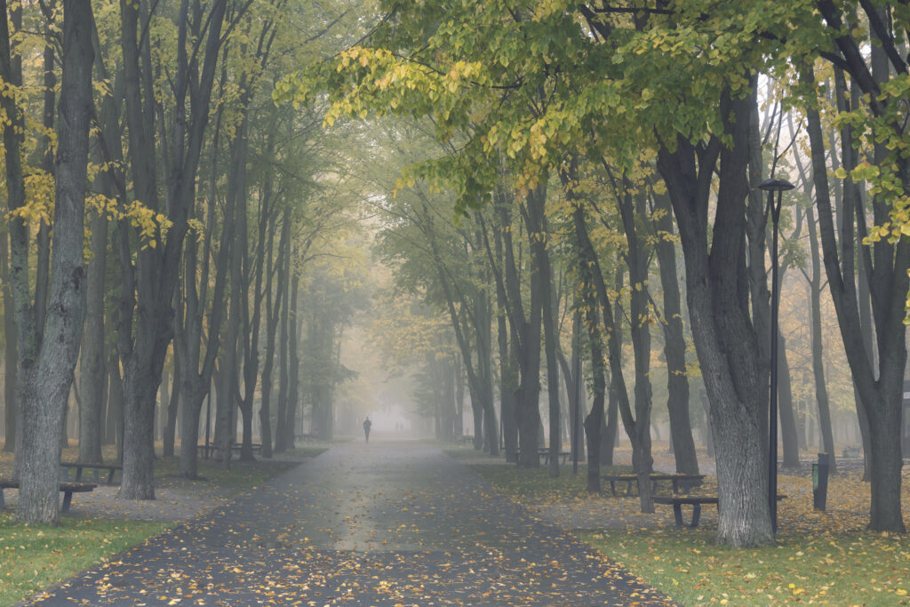 Jogger in een park